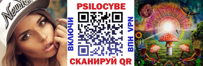 цена Котельнич Галлюциногенные грибы Cubensis
