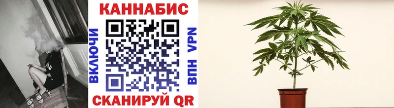 blacksprut рабочий сайт  Котельнич  Конопля планчик 